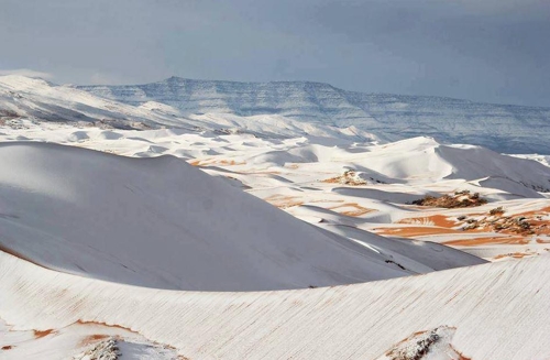 눈 내린 사하라 사막 (사진=트위터)