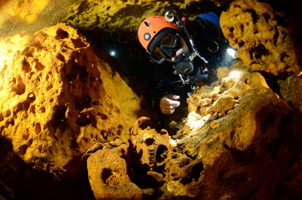 삭 악툰 수중동굴에서 동물 두개골을 살펴보는 잠수사 (사진=로이터)