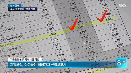 삼성에버랜드 공시지가 관련 의혹 보도한 SBS(SBS화면 캡쳐)