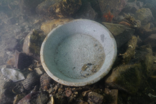 태안 당암포 해역에서 발견된 청자 (사진=문화재청)