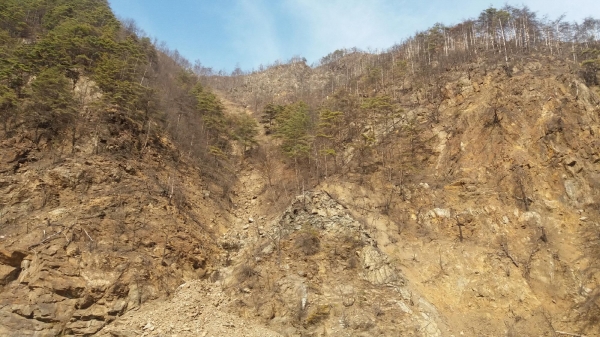 경북 봉화 석포면 일대 산림피해지 모습 (사진=산림청)