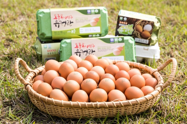 시중에 판매되는 동물복지인증 달걀 (사진=농촌진흥청)