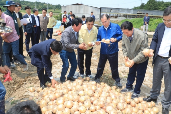 양파 수확 점검하는 이개호 농림축산식품부 장관
