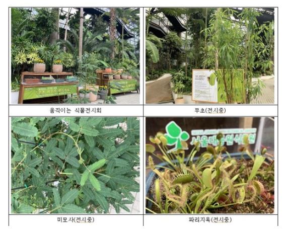 서울대공원장은 19일부터 30일까지 서울대공원 식물원 '신기하게 움직이는 식물 전시회'를 연다고 밝혔다. (사진-연합뉴스)